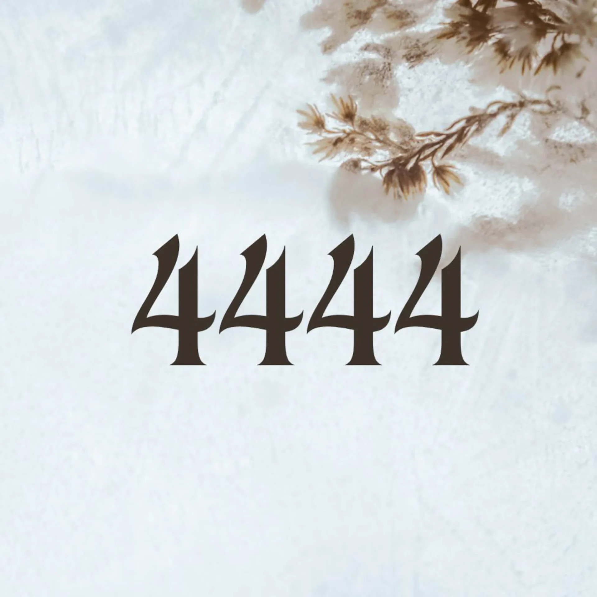 444 signification